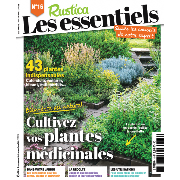 Comment cueillir et protéger nos plantes médicinales ? Deux