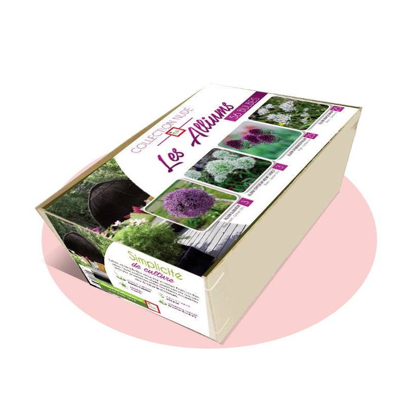 Collection NUDE - Les alliums Collection NUDE - Les alliums