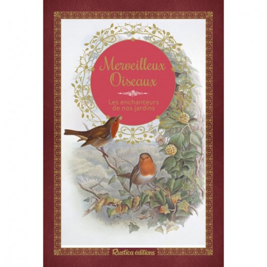 Merveilleux oiseaux Merveilleux oiseaux