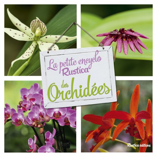 La petite encyclo Rustica des orchidées La petite encyclo Rustica des orchidées