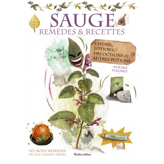 Sauge : remèdes et recettes Sauge : remèdes et recettes