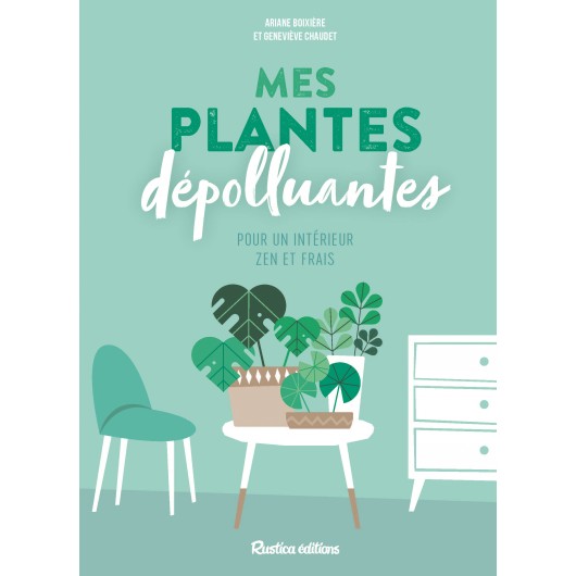 Mes plantes dépolluantes pour un intérieur zen et frais Mes plantes dépolluantes pour un intérieur zen et frais