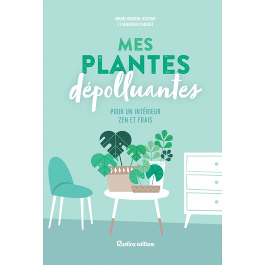 Mes plantes dépolluantes pour un intérieur zen et frais Mes plantes dépolluantes pour un intérieur zen et frais