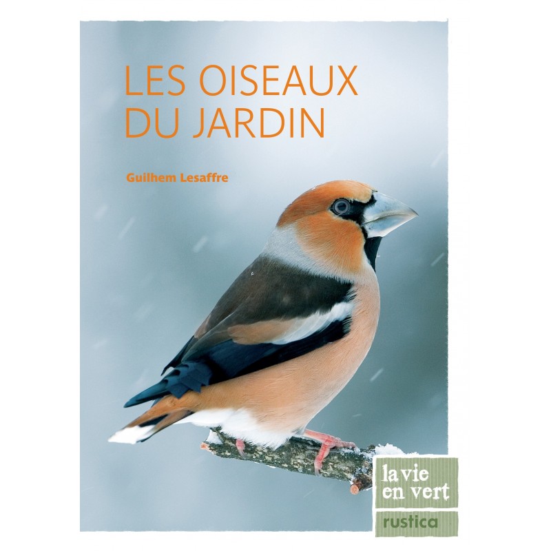 Les oiseaux du jardin Les oiseaux du jardin