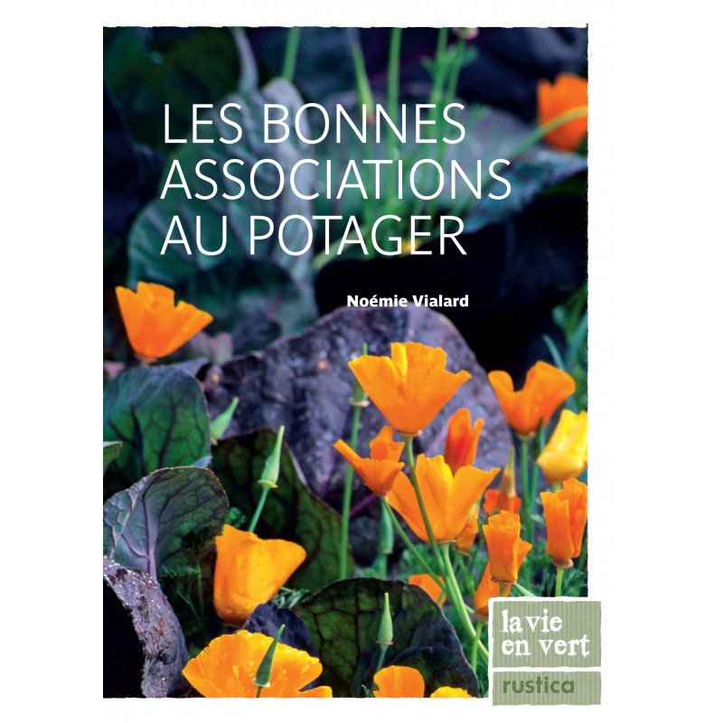 Les bonnes associations au potager Les bonnes associations au potager