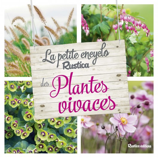 La petite encyclo Rustica des plantes vivaces La petite encyclo Rustica des plantes vivaces