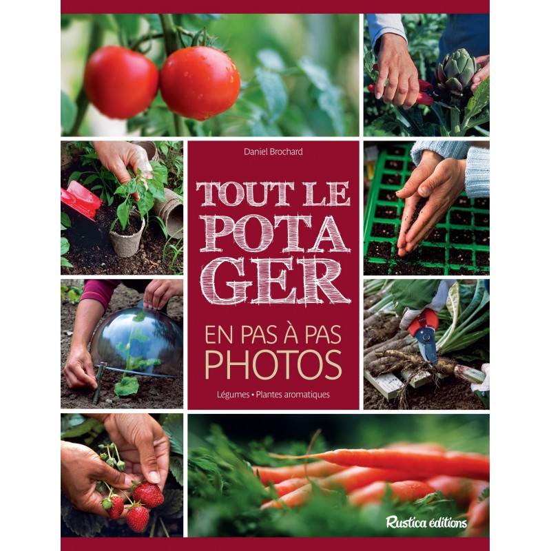Tout le potager en pas à pas photos Tout le potager en pas à pas photos