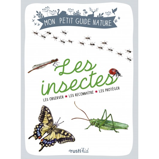 Les insectes Les insectes