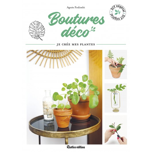 Boutures déco Boutures déco