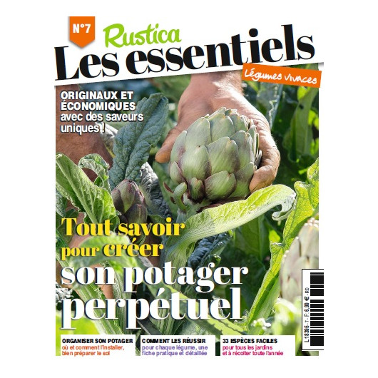 Créer Un Potager Unique Avec Des Légumes Insolites